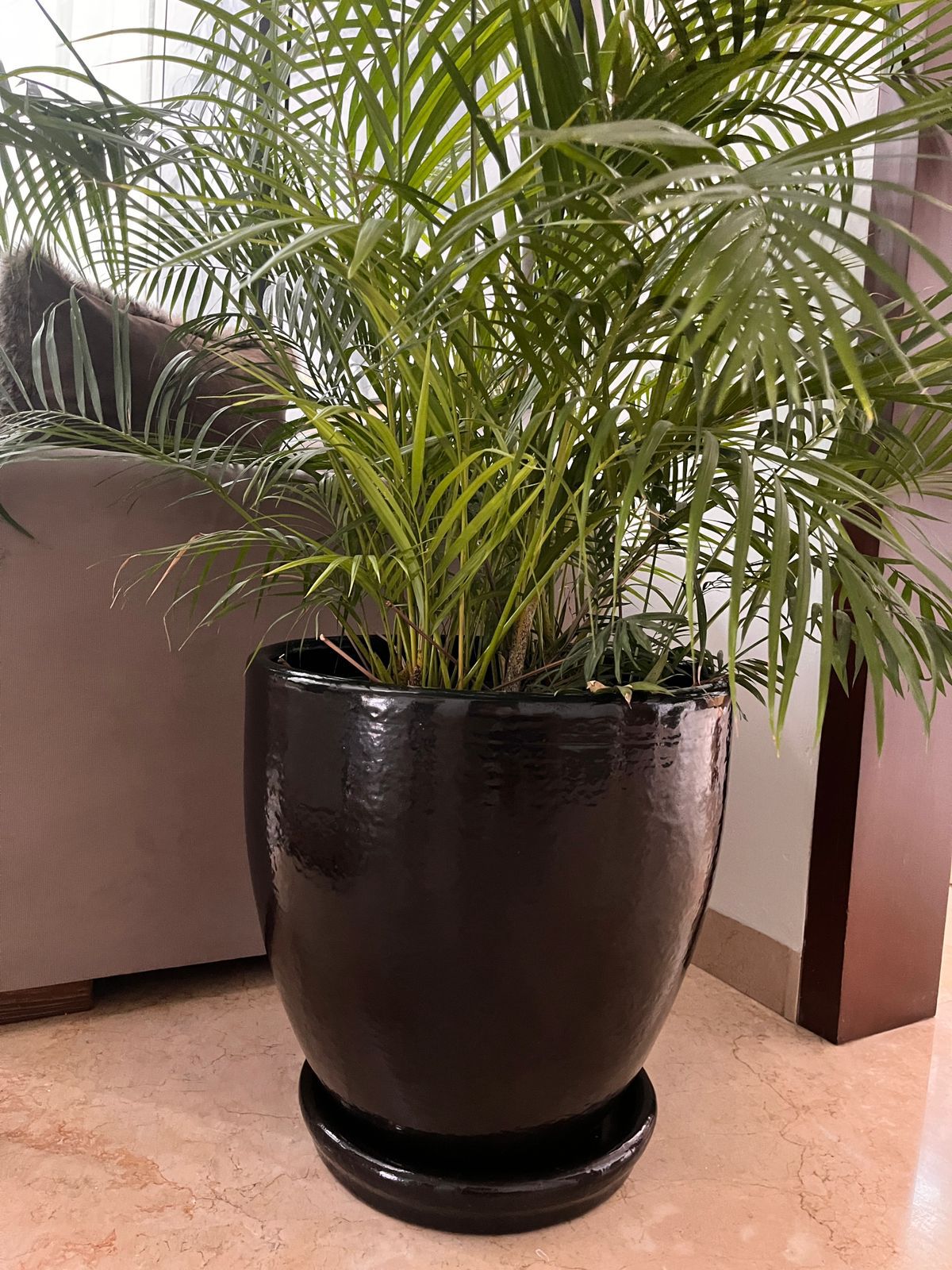 Black Gloss Terracotta Planter Interior