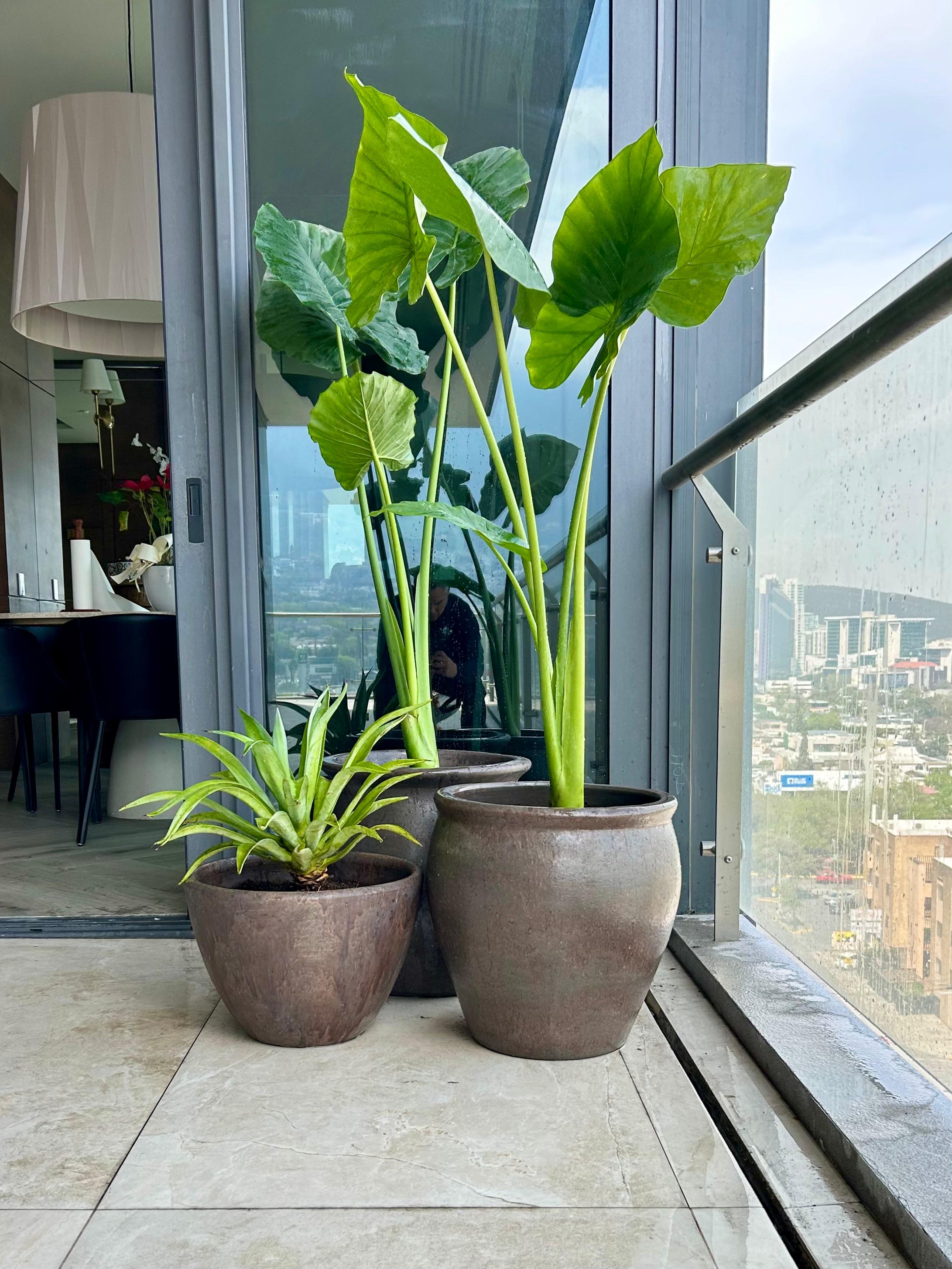 Cocoa Brown Torino Interior Glazed Planters