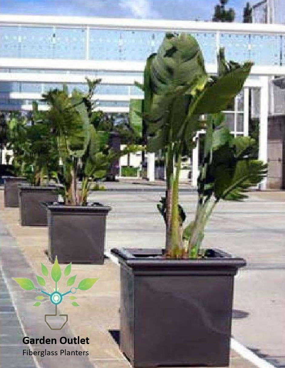 Fiberglass Square outdoor planter