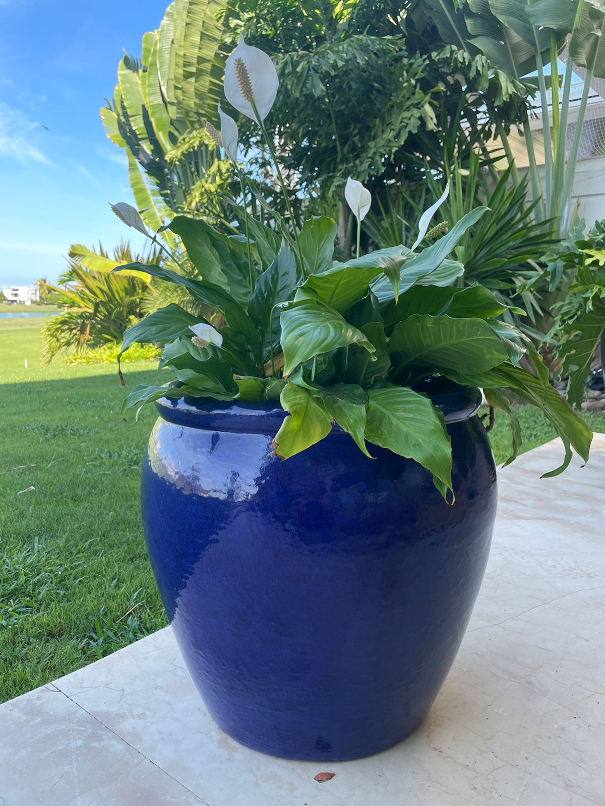 Pescara Blue Cobalt Outdoor Planter