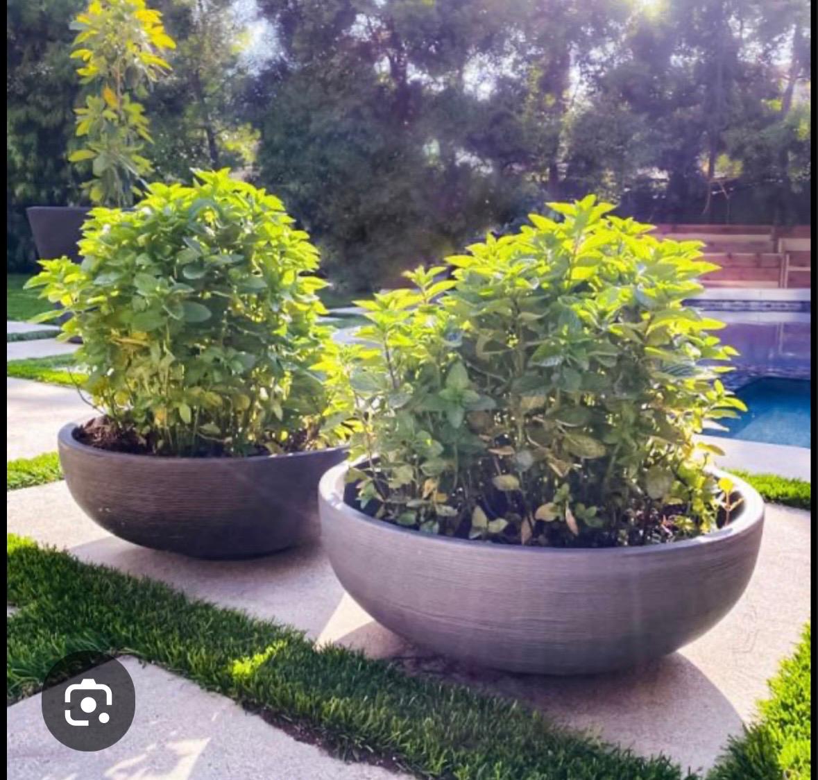 Round Large Fiberglass Planters