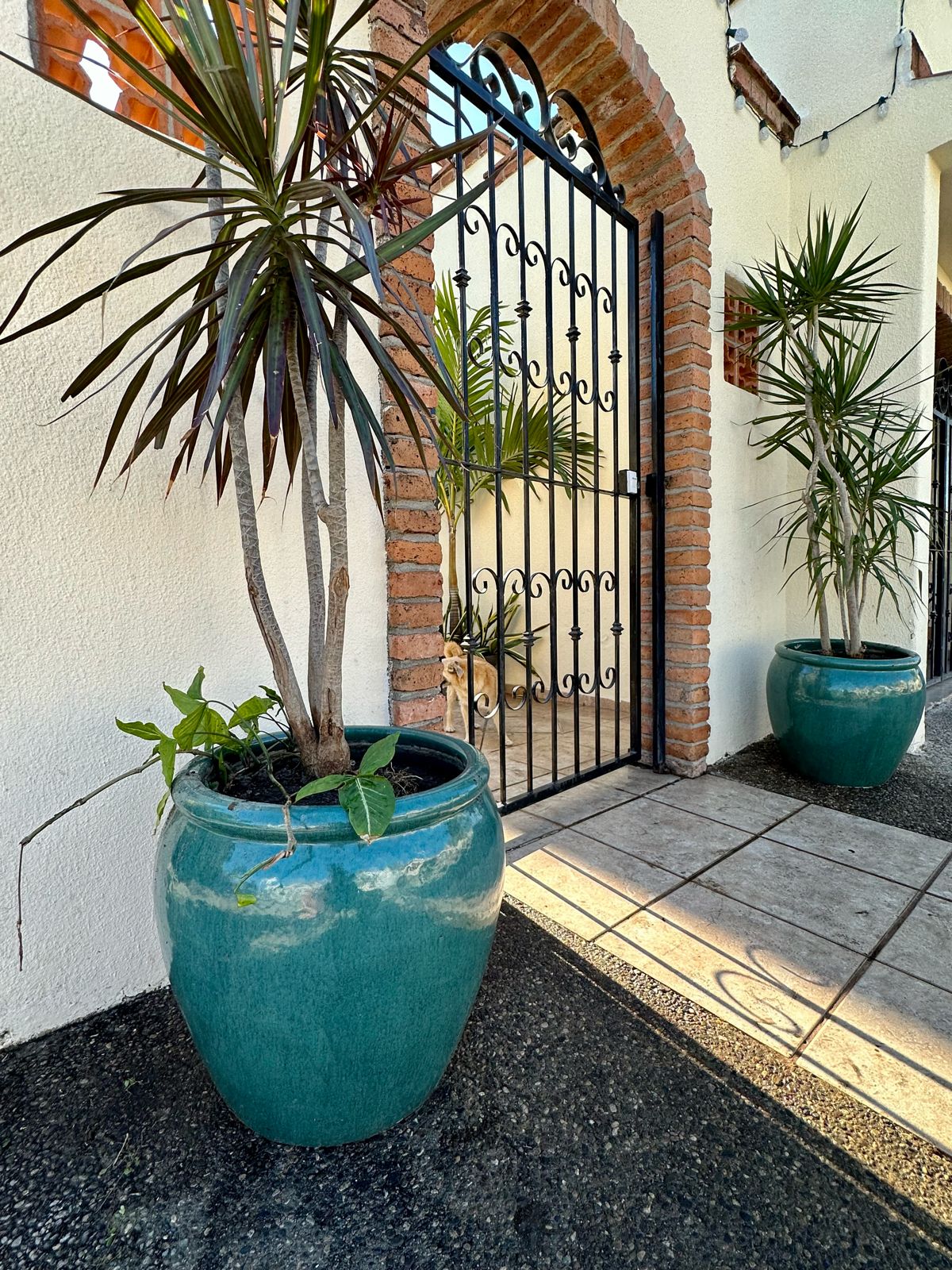 Rustic Planter Blue Pescara