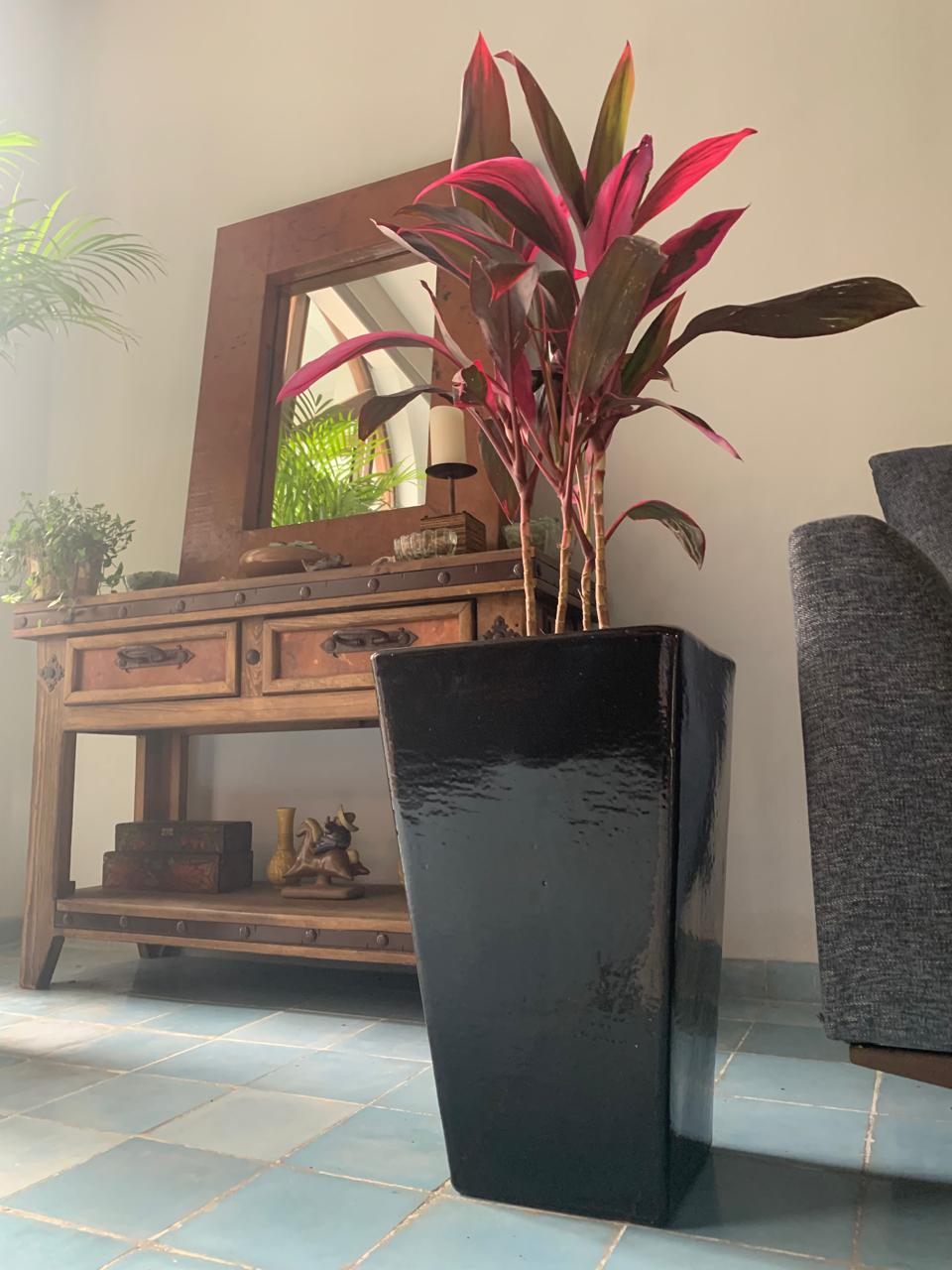 Square Tall Indoor Planters